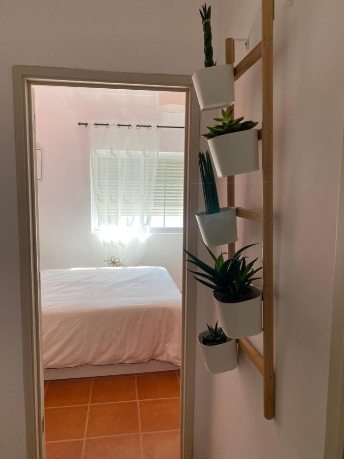 Apartamento Vicentino Vila Nova de Milfontes Extérieur photo