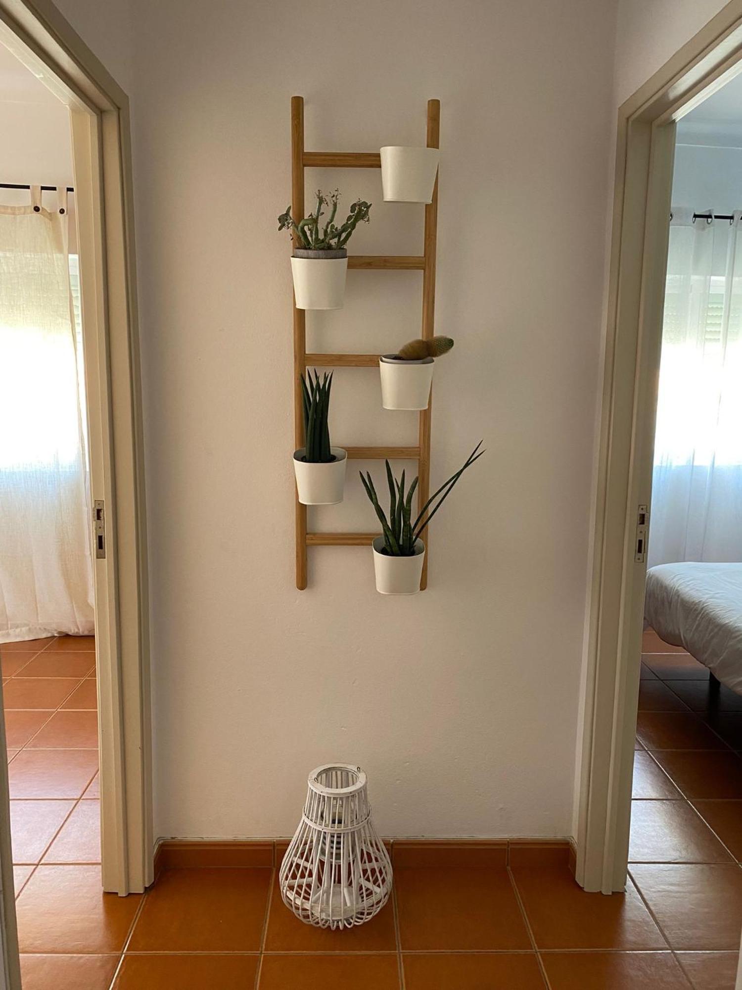 Apartamento Vicentino Vila Nova de Milfontes Extérieur photo