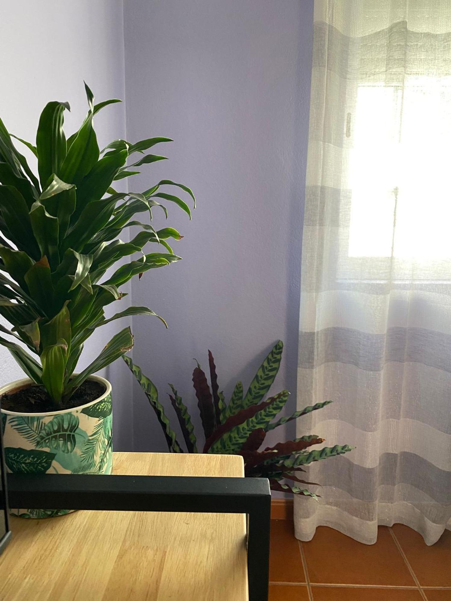 Apartamento Vicentino Vila Nova de Milfontes Extérieur photo